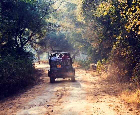 Madhya Pradesh